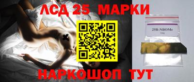 СК Тара