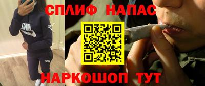 СК Тара