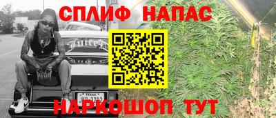 СК Тара